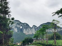 -明仕田园