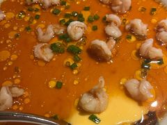 -初蓉丨遇见新川菜(亲贤街荣耀店)