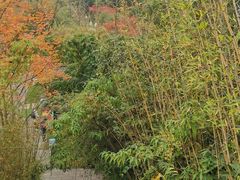 -天河潭旅游度假区