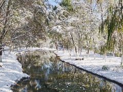 -长白岛森林公园