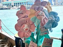 -玩具反斗城(海港城店)