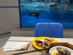 -帝企鹅自助餐厅•儿童岛•真企鹅(长隆企鹅酒店)