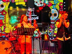 -Famous肥猫墨西哥音乐餐吧(五棵松华熙LIVE店)