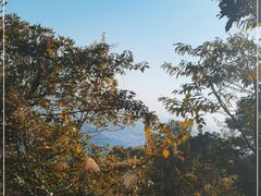 -阳台山森林公园