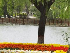 -石家庄市植物园
