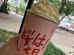 -伏小桃(明瓦廊店)