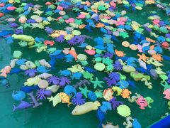 -朝阳公园游乐园