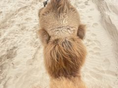 -库伦旗银沙湾旅游景区