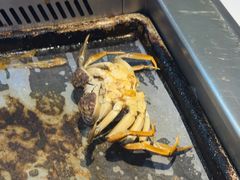 -苏格里岛自助烤肉海鲜火锅(成都金牛万达店)