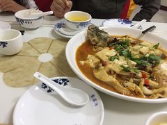 -煲来饱去冷水鱼