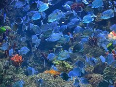 -海合安青岛极地海洋公园