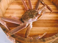 -綱元·海鲜豆捞(明州里店)