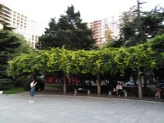 -中国人民大学游泳馆