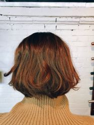 -SALON V