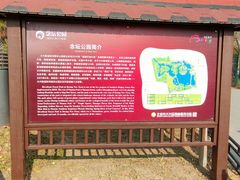 -大兴滨河森林公园