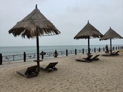 -北海金海湾红树林生态旅游区