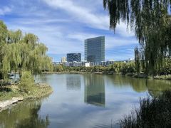 -大兴滨河森林公园