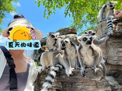 -秦皇岛野生动物园
