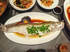 鸡汁嫩白鱼-小厨娘金榜题名(夫子庙秦淮河店)