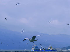 -滇池海埂公园