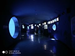 -烟台海昌鲸鲨海洋公园