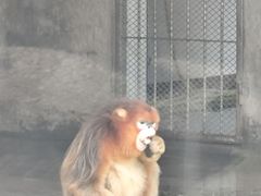 -西安秦岭野生动物园