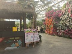 -南宫五洲植物乐园