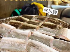 -本炙炭烤·蒲烧活鳗料理店(金沙洲店)