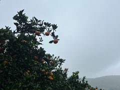 -南北湖风景区