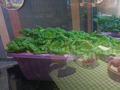 -番食园鲜食火锅(高新店)