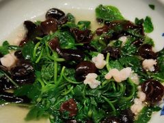 -江南·JIANGNAN(北京歌华开元大酒店)