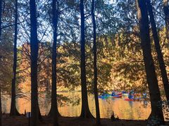 -上海海湾国家森林公园