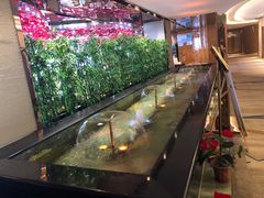 -东方山水金沙酒店-雅香阁中餐厅