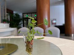 -仙林宾馆-餐厅