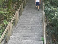 -云碧峰国家森林公园