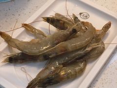 -龍歌自助小火锅(李沧丽达店)