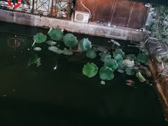 -天怡·鱼工厂(梅溪湖店)