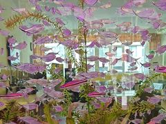 -如家酒店(北京师范大学积水潭店)