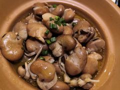 -骏莱海鲜鱼港(五角场店)