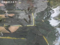 -三亚珠江南田温泉度假区