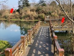 -桤木河湿地公园