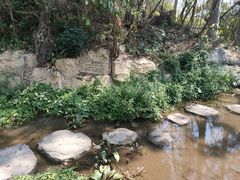 -罗三妹山