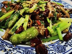 火爆肥肠-正兴张血旺