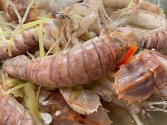 盐水濑尿虾-哈味食店(外伶仃岛店)