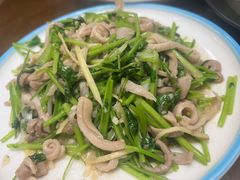 香菜肚丝-老磁器口豆汁店(天坛店)