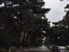 -东北大学(南湖校区)