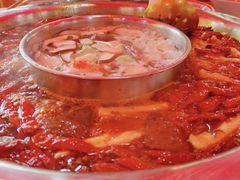 -厂花素芬九宫格火锅(益州大道店)
