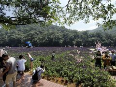 -广州市石门国家森林公园