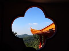 -深圳仙湖植物园