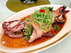 东星斑清蒸-金轩中餐厅 Jin Xuan(浦东丽思卡尔顿酒店)